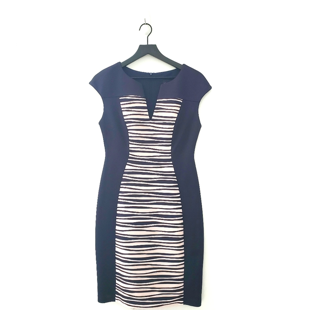 Pink and Navy Striped Dress Size 8